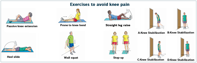 Knee Exercise